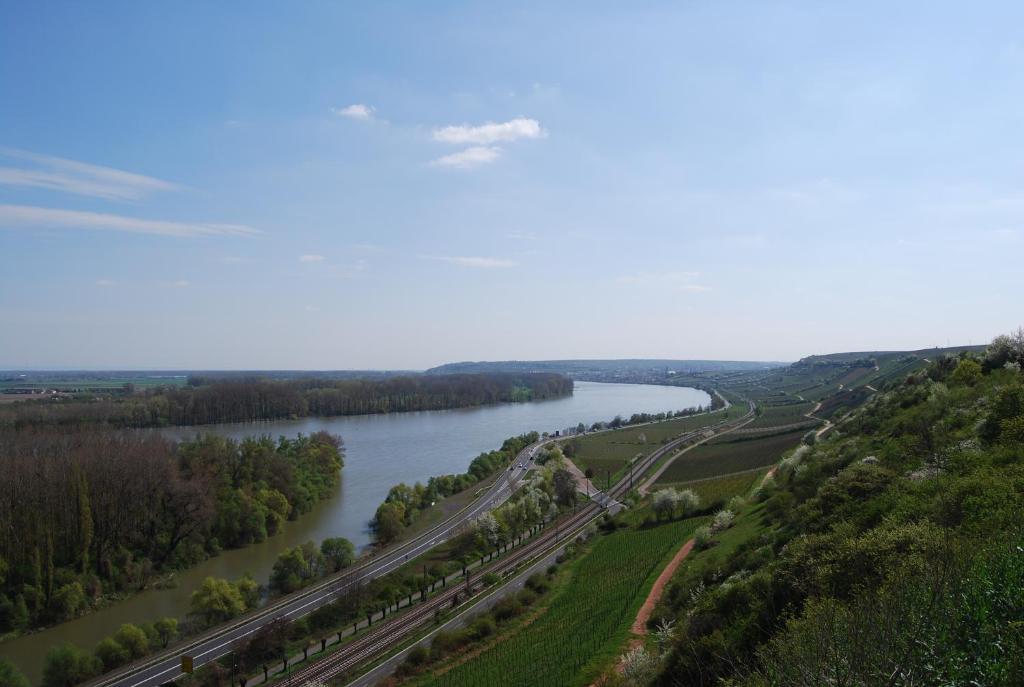 Landhotel St. Gereon Nackenheim エクステリア 写真